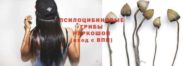 прущая мука Коряжма