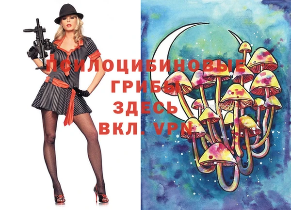 прущая мука Коряжма